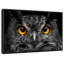 «Yellow Eyed Owl Wall Art»-521000807