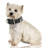 Portable Ultrasonic Electric Fence Collar-204205995