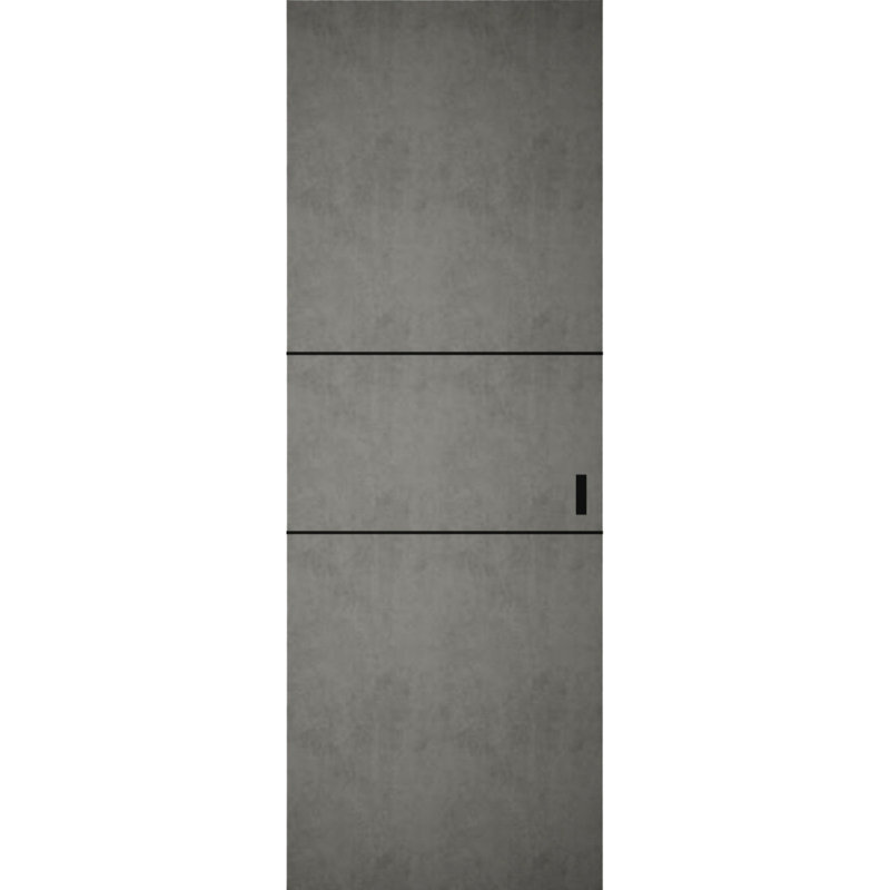 Grange cachée | Planum 0014 | Portes robustes à finition robuste et modernes | Ensemble coulissant Magic, 36 po x 84 po