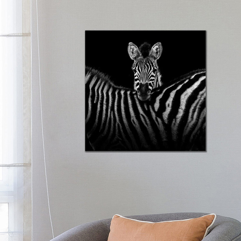 Two Zebras In Black And White I by Lukas Holas - Wrapped Canvas Print, 66.04 cm H x 66.04 cm W