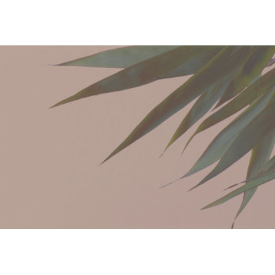 Bamboo Pink III by Renée W. Stramel - Wrapped Canvas Painting