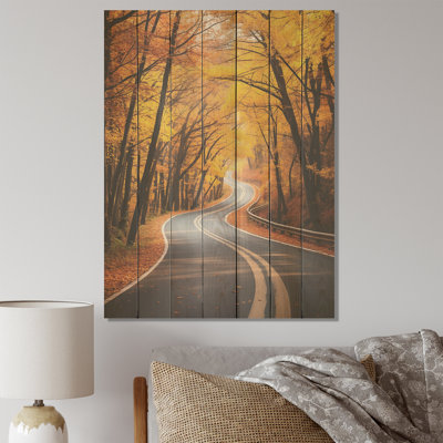Golden Road Into The Autumn Forest III - Route sur bois