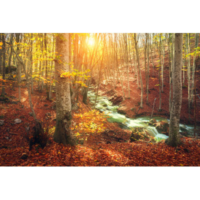 " Nature Background " by Den-Belitsky