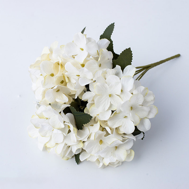 Arrangement