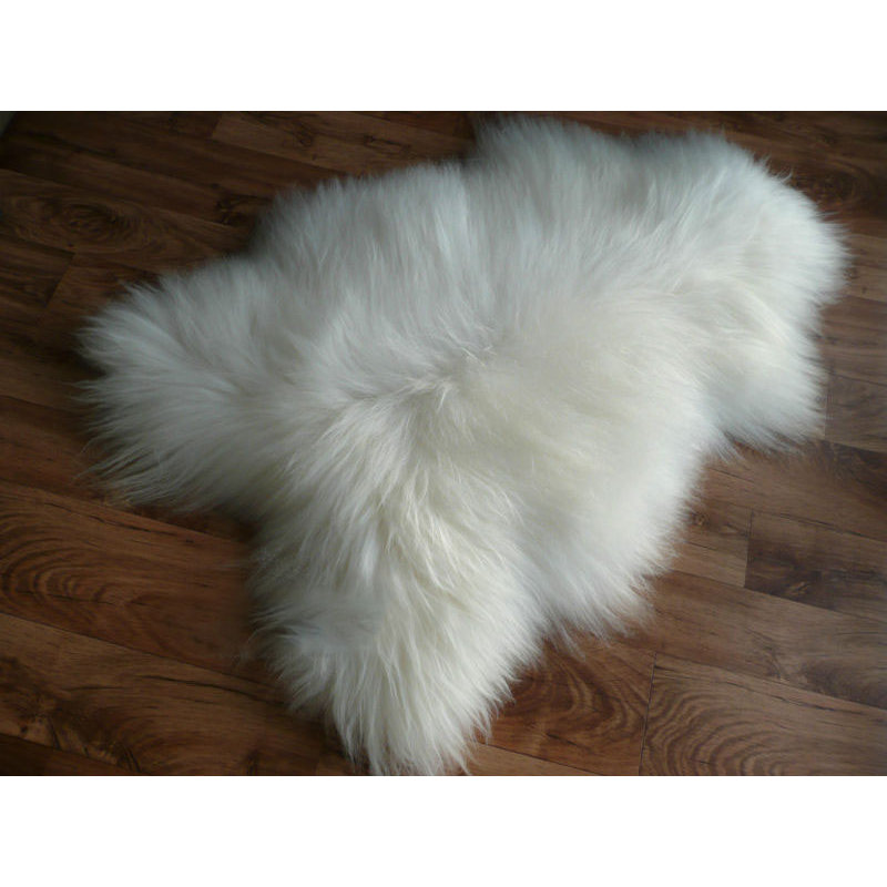 Huitt Wool Animal Print Indoor Rug