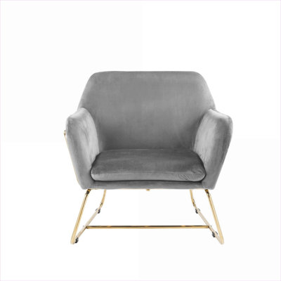 Compact Luxury Accent Arm Chair, Cool Gray Velvet 29.5 Inch Wide Modern Seating