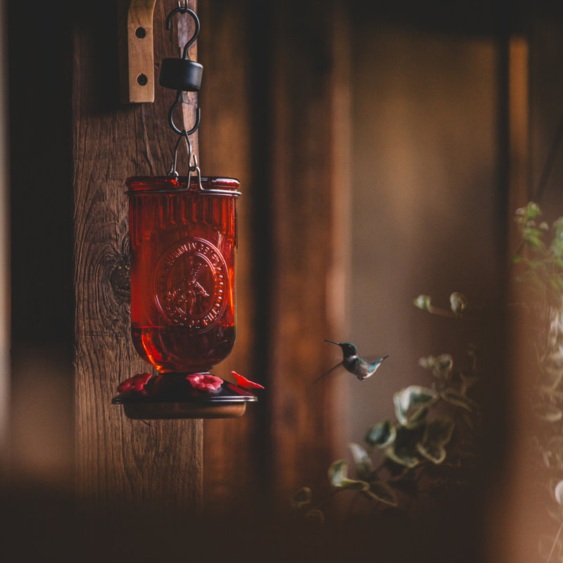  Mangeoire à colibri en verre rouge