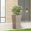 MGO PLANT