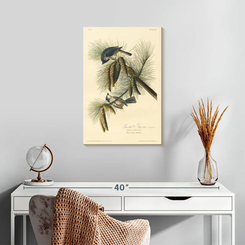 Brampt Crested Titmouse, 24" H x 16" W