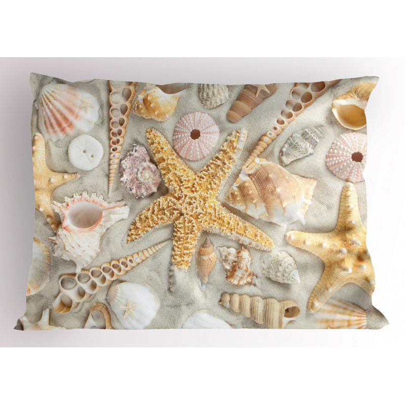 Shell Polyester Sham Set, Queen