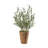 48cm Faux Olive Tree Tree in Pot