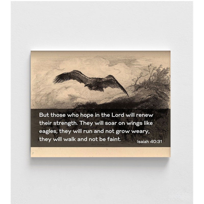 Aigle qui vole par Karl Bodmer, citation du verset de la Bible Esaïe 40:31, affiche encadrée, esquisse d'oiseau, Tanné