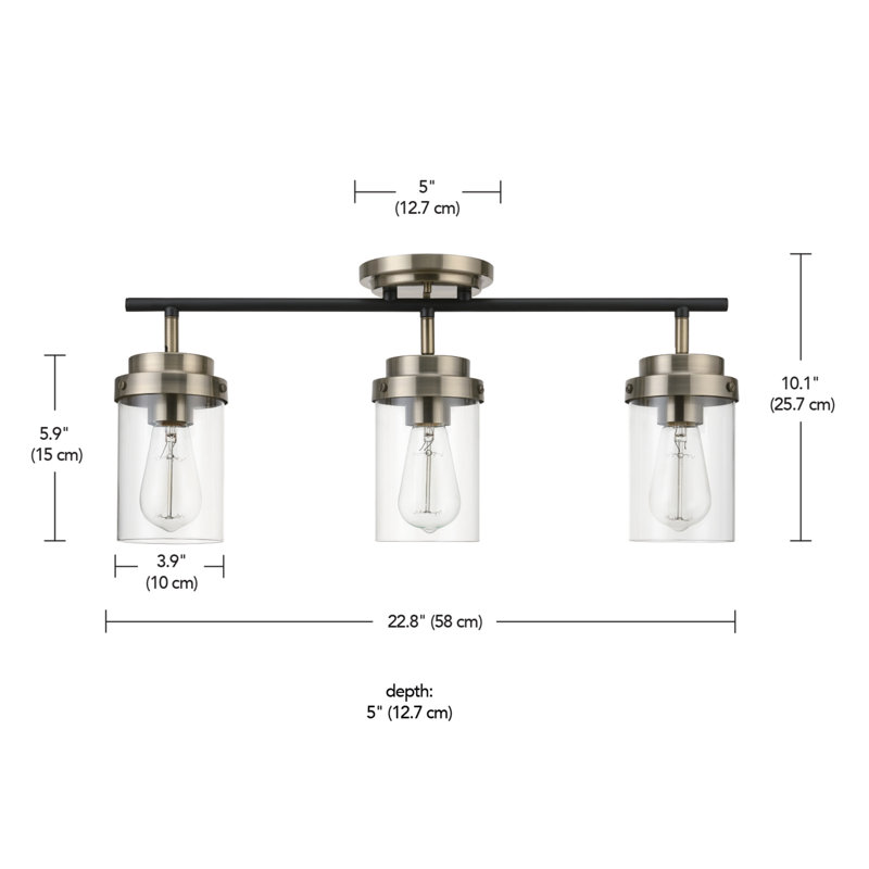 Adelaide Matte Black and Antique Brass 3-Light Track Kit with Clear Glass