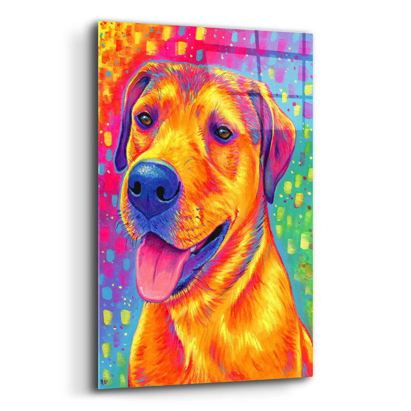 Colourful Dog' by Rebecca Wang Art Acrylic Glass Wall Art, 12" x 16", 24" H x 16" W x 0.2" D