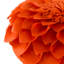  Housse de coussin décoratif à motif floral 3D-133101063-133101115