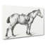 Horse with a Saddle by Jean Bernard - Wrapped Canvas-55359492