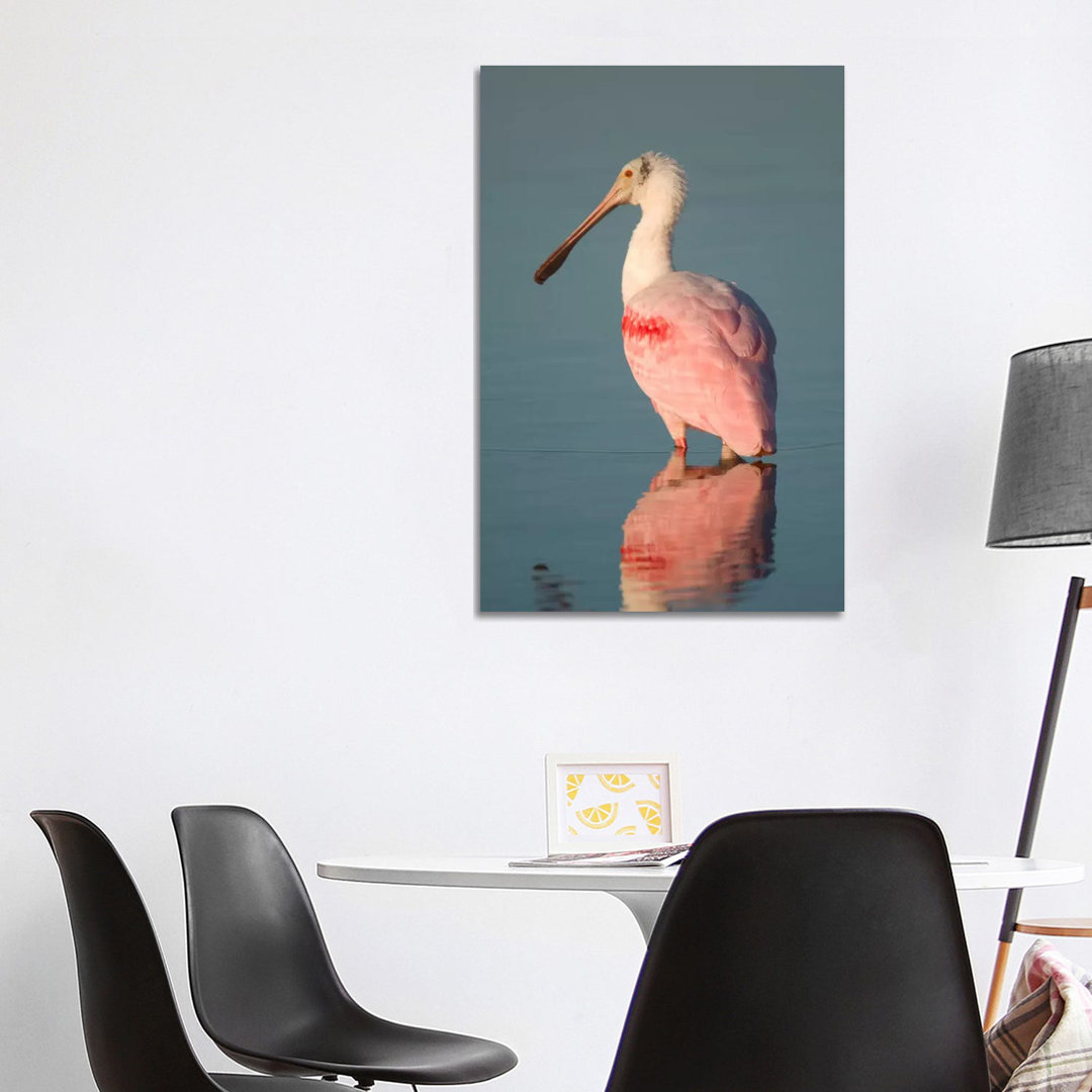 Roseate Spoonbill, Fort Myers Beach, Florida by Steve Gettle - Wrapped Canvas Print