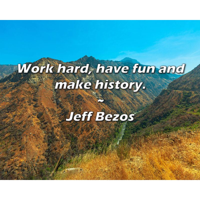 Jeff Bezos Quote: Work hard, have fun and make history., 20" H x 24" W