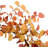 Irja Faux 18'' Wreath