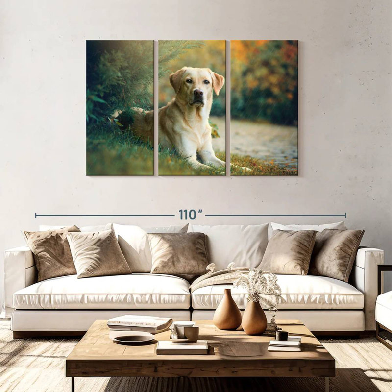 Brampt Labrador Retriever Mix, H 48 po x l 74 po