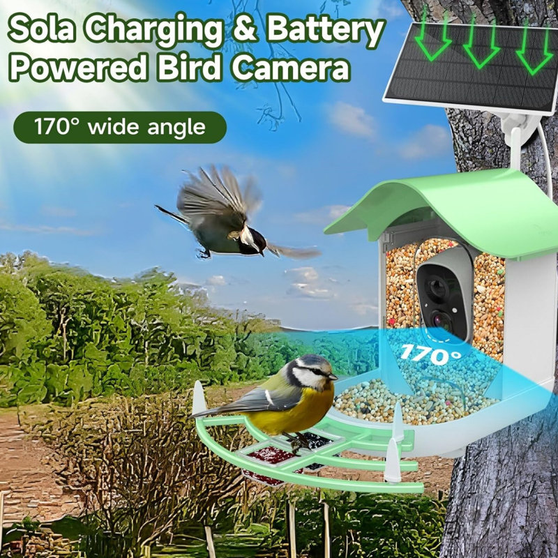 Solar Smart Bird Feeder with Camera, Green