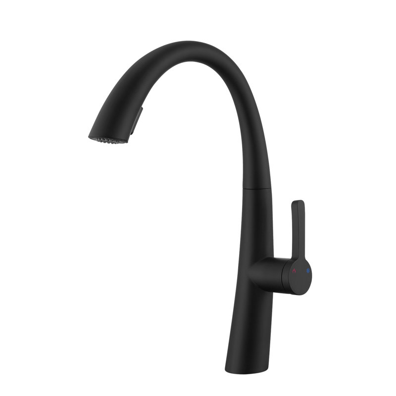 Robinet de cuisine escamotable en acier inoxydable, Noir mat