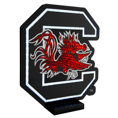 NCAA South Carolina Infinity Logo Light