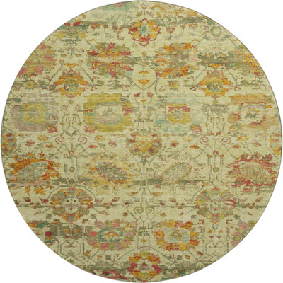Premium Machine Washable Lucchesi AMF1732 Global Rug