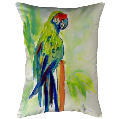  Outdoor Rectangualar Pillow Cover & Insert