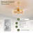 Avienne Ceiling Fan with 12 Light Kit-951284703