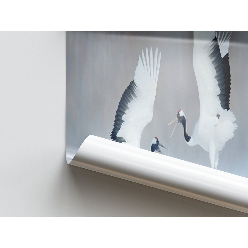 Print on Canvas, White Floater Framed, 60 cm H x 90 cm W