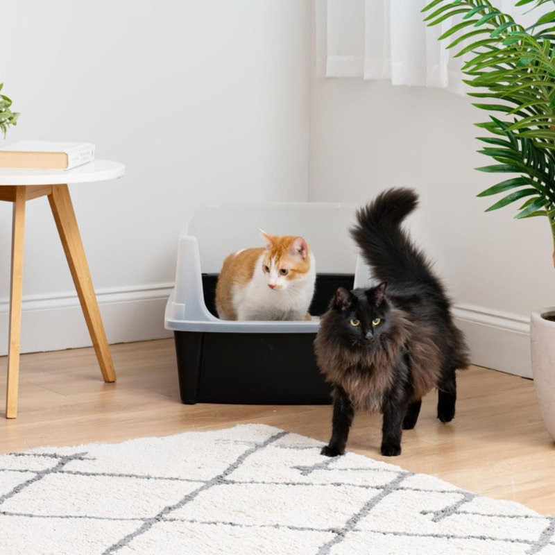 Bac à litière à couvercle ouvert pour chat USA XX