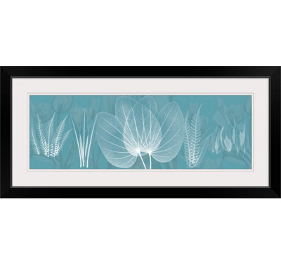 Manigault " Teal X-Ray " by Albert Koetsier