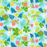 Baja Fabric