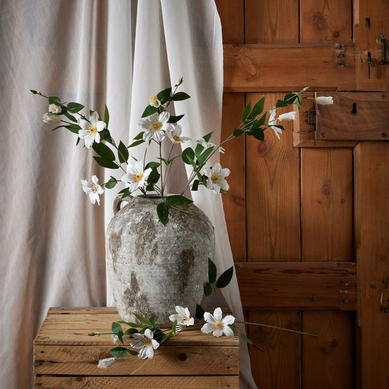 Anastasija Arrangement