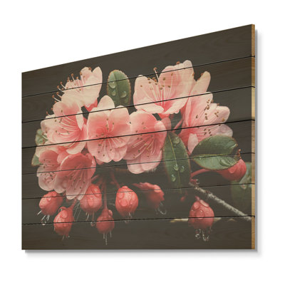 Pink Suspended Blossom Fuschia Cascade - Fuschia On Wood Print