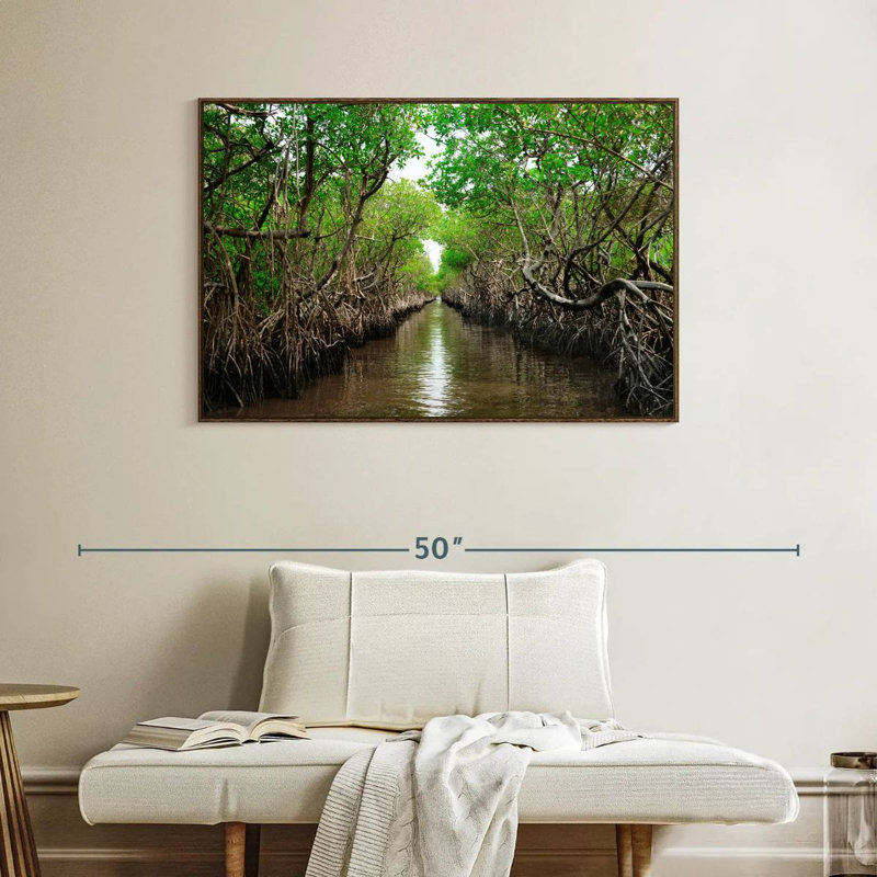 Mangroves de Everglade City, Cadre flottant noyer, 40 po x 27 po