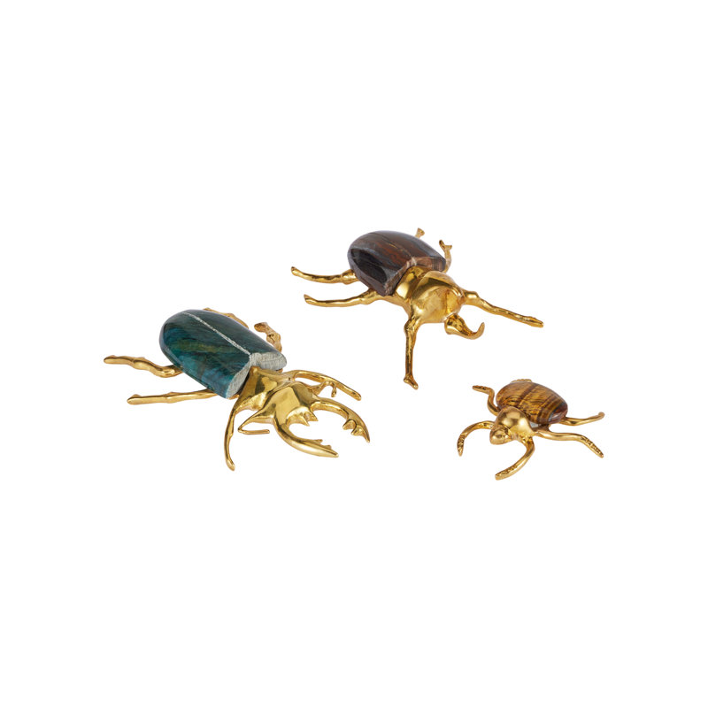 Brass Beetle Colony