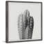 Single Picture Frame Print-37818128