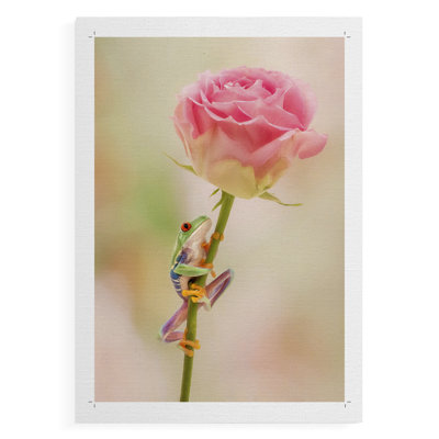 Hanging On II -Canvas Print Only - NOT FRAMED