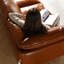 Orange Faux Leather Standard Sofa cushion Loveseat