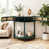 Antique Green