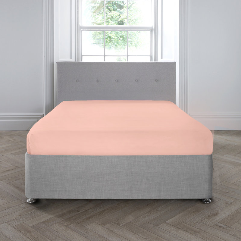 Appletree Bedding 100% Cotton Percale Fitted Sheet, Silver, Double (4'6)