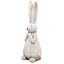 Lapin en magnésium texturé blanc avec détails dorés subtils-197166771