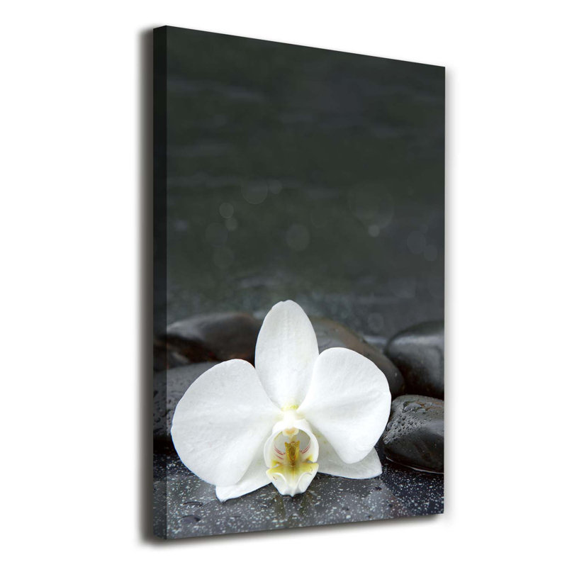 Orchid Stones - Wrapped Canvas Print