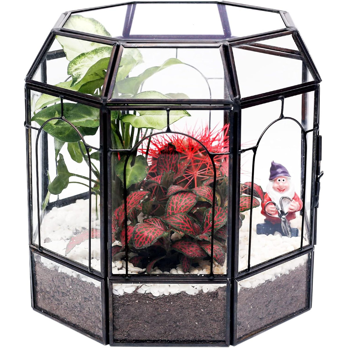Large Glass Handmade Terrarium