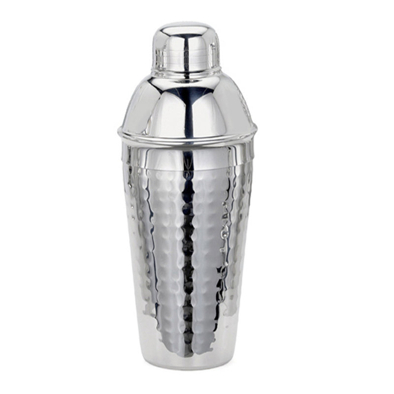 Stainless Steel Shaker