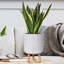 Dotted Style Cylinder Planter with Feet Concrete Effect Cylinder Round Planter on Hardwood Legs, Round Indoor Plant Pot Stand for Indoor Plants, Indoor Flower Pot with Dotted Pattern-1274800034-1274800039