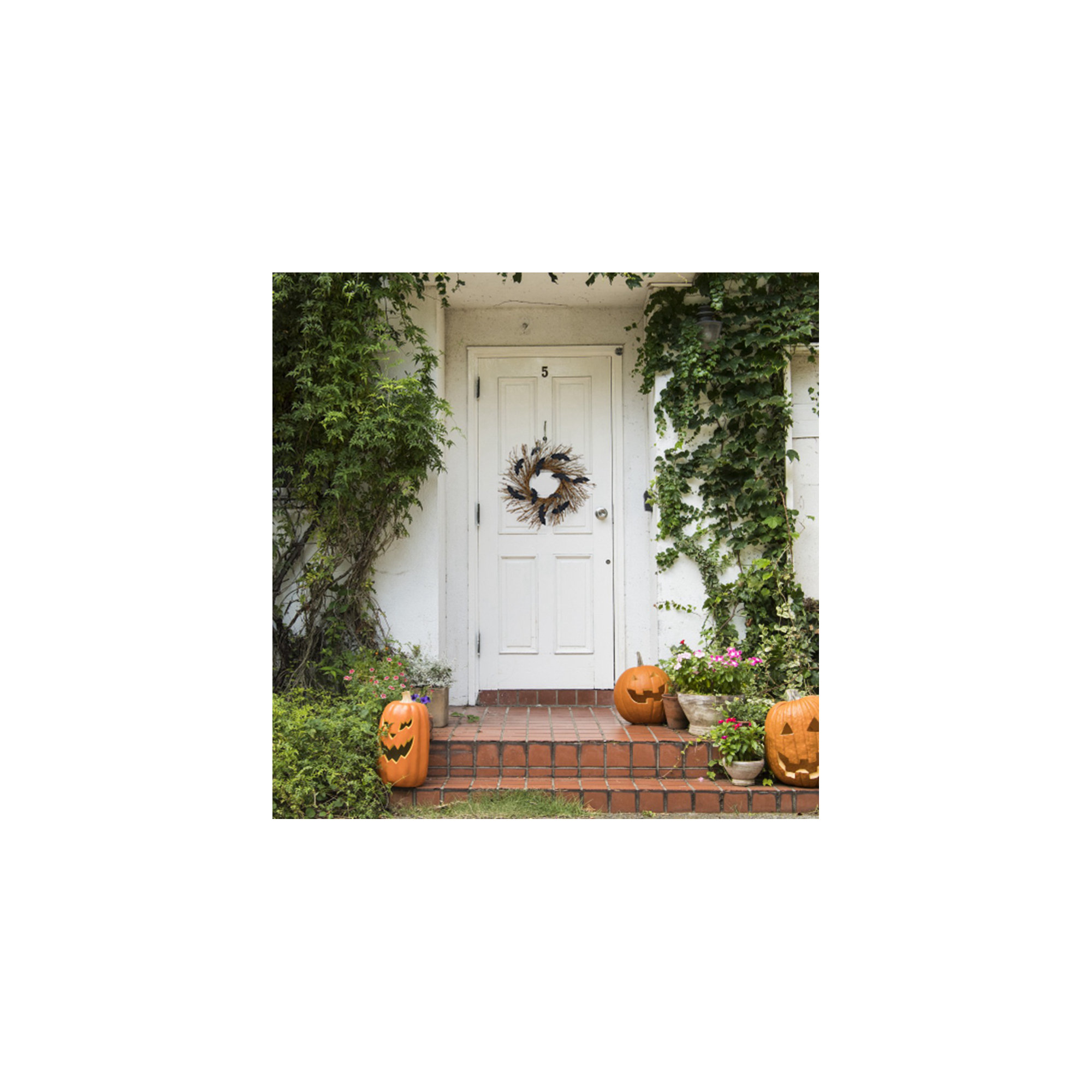 17.7 Halloween Wreath Bats Wreath Halloween Decoration, Bats Grapevine Wreath Rattan Halloween Twig Wreath With Bats Scary Black Bat Horror Decorations For Front Door Wall Window Home Decor