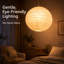 Irregular Paper Sphere Pendant Shade-18563005